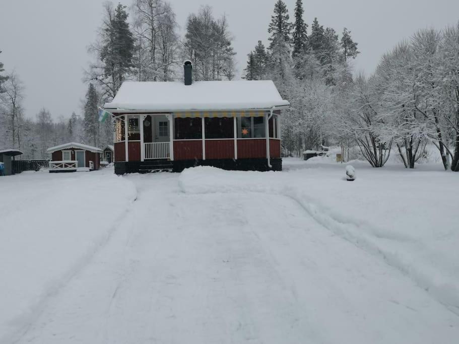 Cabin 70M From Lake. Big Garden Östersund Exterior foto